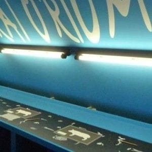 Wunderkammer - Lab