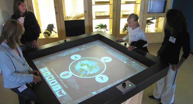 03-insectarium-Create-an-insect