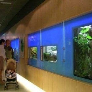 05-insectarium-Hallway