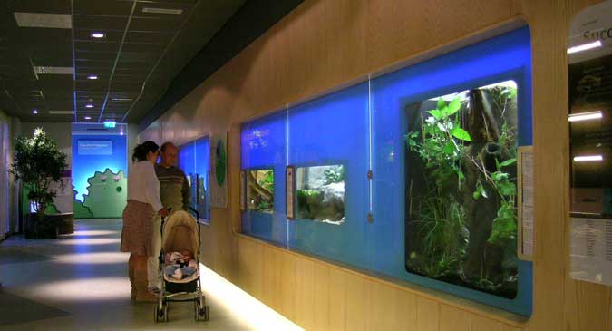 05-insectarium-Hallway