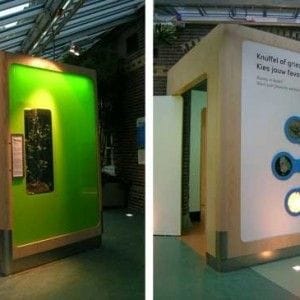 06-insectarium-cuddly-or-creepy