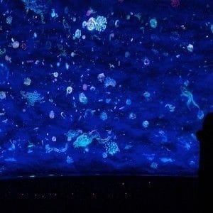 China-Science-and-Techno