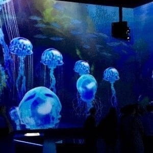 Immersive technologies in Science Centre Singapore