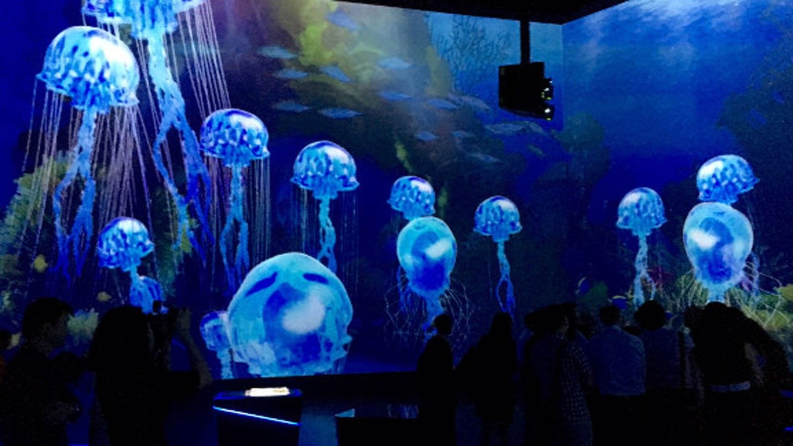 Immersive technologies in Science Centre Singapore