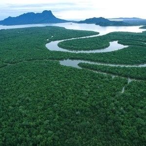 Sarawak river