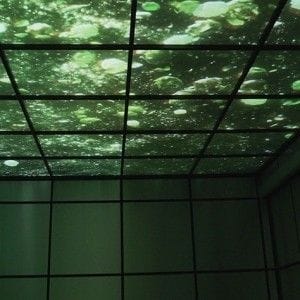 Heineken Brew your ride