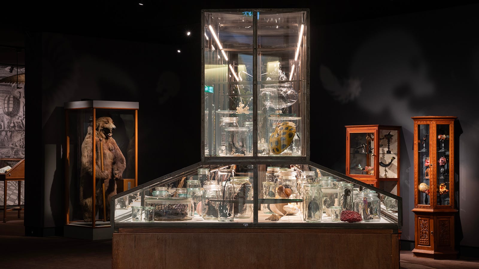 Microkosm - The world in a Wunderkammer Microkosm - The world in a Wunderkammer