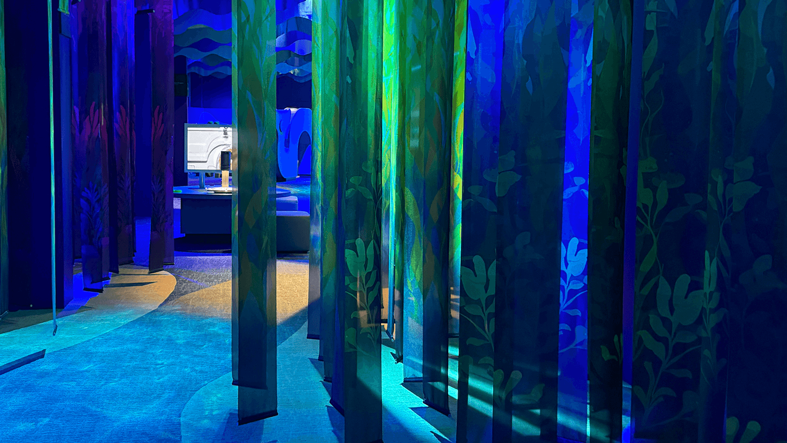 NorthernLight Planet Ocean VilVite Science Center NorthernLight Planet Ocean VilVite Science Center